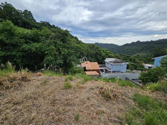 Terreno venda em Região Geográfica Imediata de Bento Gonçalves, Bento Gonçalves