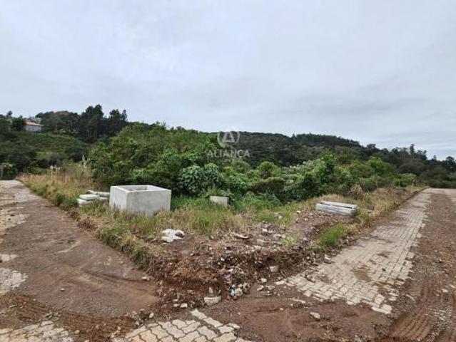 Terreno venda em Região Geográfica Imediata de Bento Gonçalves, Bento Gonçalves