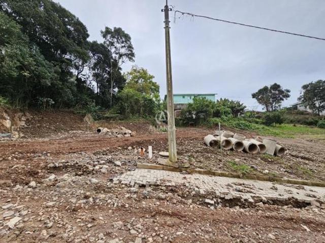 Terreno venda em Região Geográfica Imediata de Bento Gonçalves, Bento Gonçalves