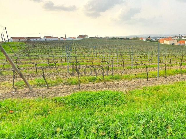 Terreno venda em Óbidos, Leiria