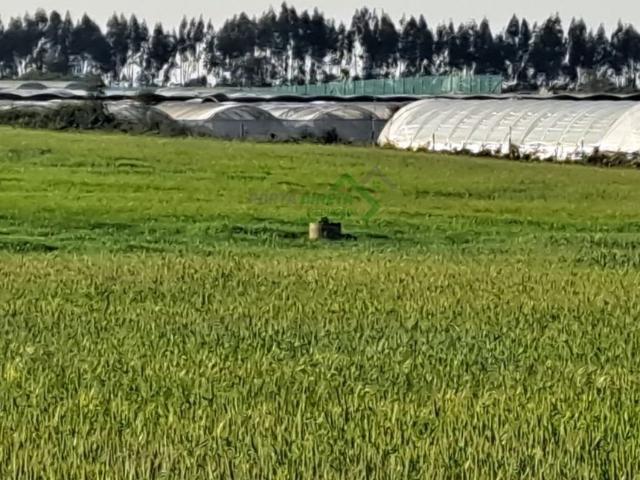 Terreno venda em Odemira, Beja