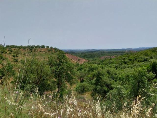 Terreno venda em São Teotónio, Odemira