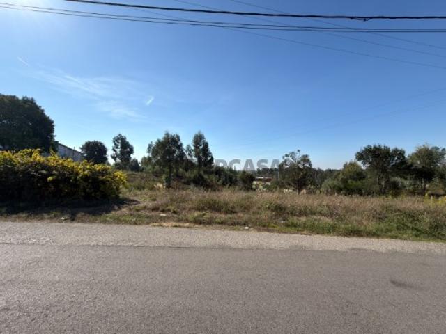 Terreno venda em Oliveira do Bairro, Aveiro