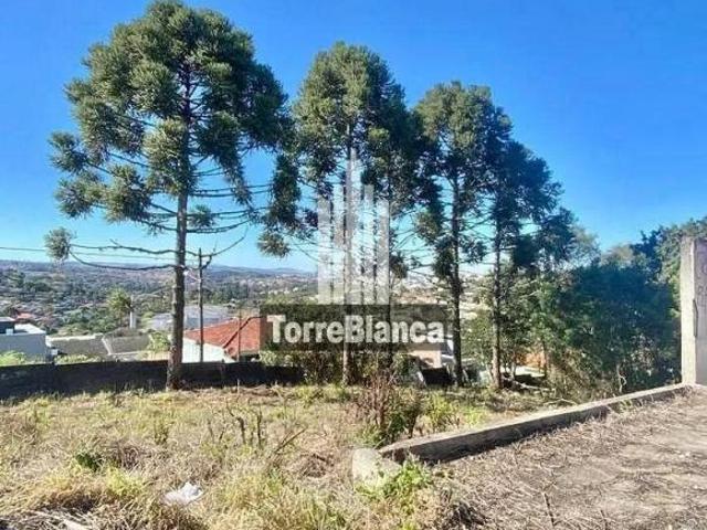 Terreno venda em Região Geográfica Imediata de Ponta Grossa, Ponta Grossa