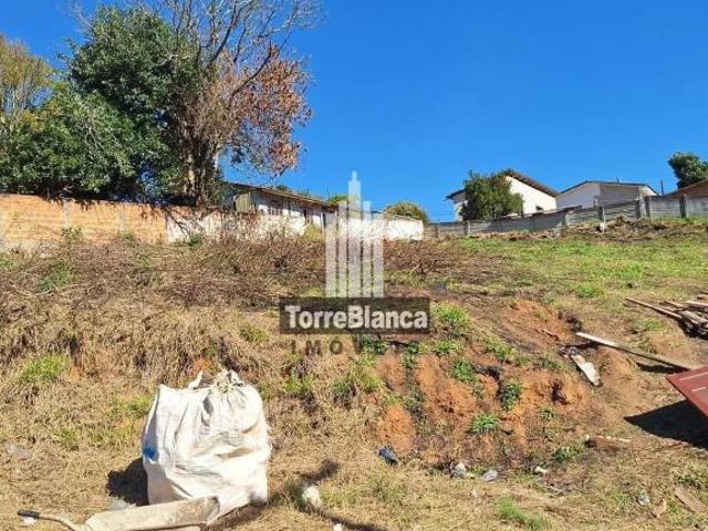 Terreno venda em Vila Margarida, Ponta Grossa