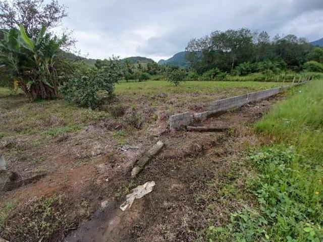 Terreno venda em Recanto Som do Mar, Caraguatatuba