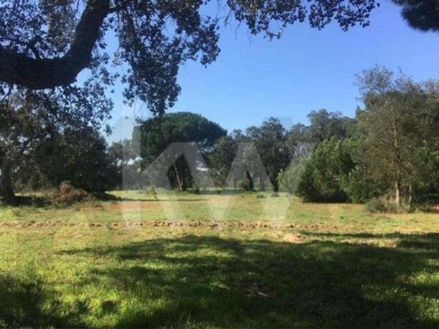 Terreno venda em Poceirão e Marateca, Palmela