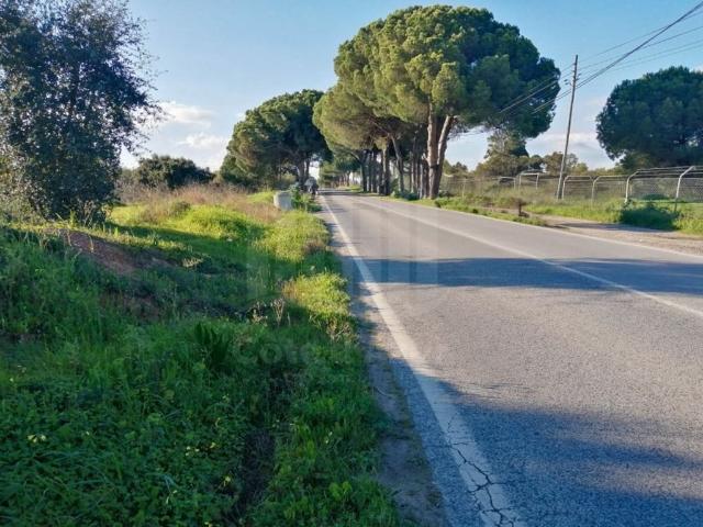 Terreno venda em Palmela, Setúbal