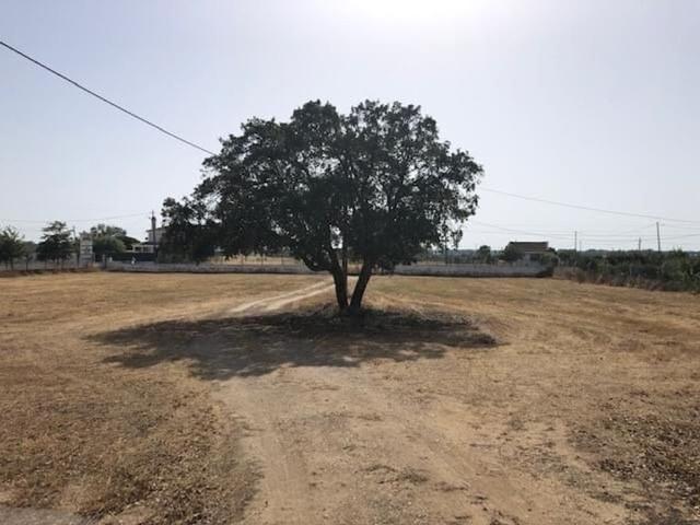 Terreno venda em Palmela, Setúbal