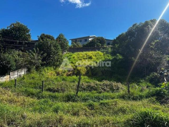 Terreno venda em Contorno, Ponta Grossa