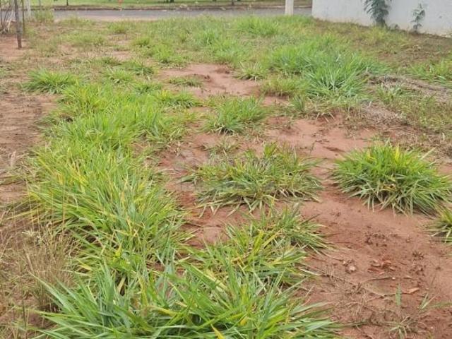Terreno venda em Região Imediata de São José do Rio Preto, Região Metropolitana de São José do Rio Preto