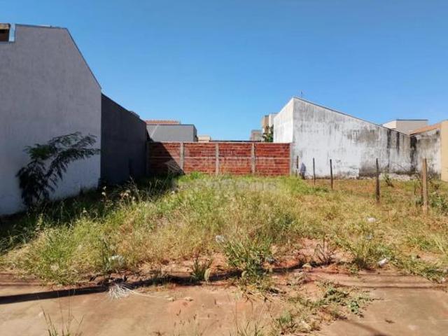 Terreno venda em Cedral