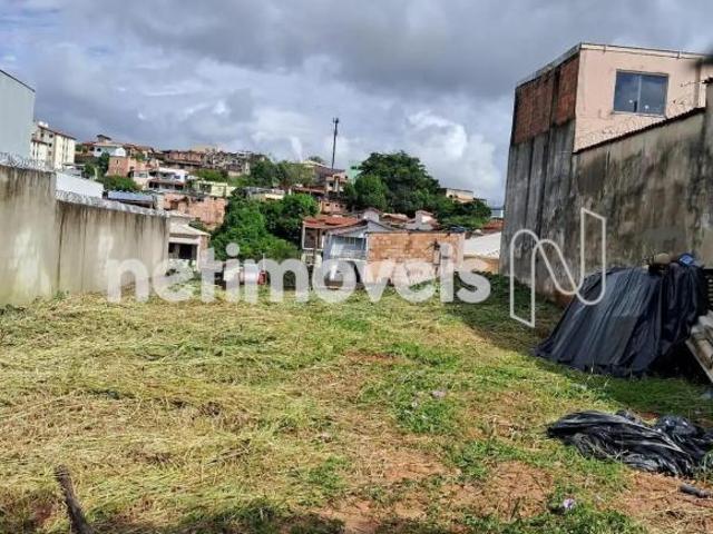 Terreno venda em Parque São Pedro, Belo Horizonte