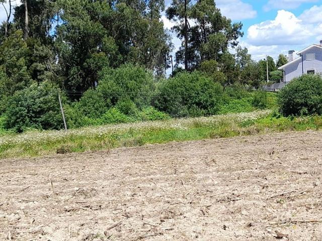 Terreno venda em São Bernardo, Aveiro