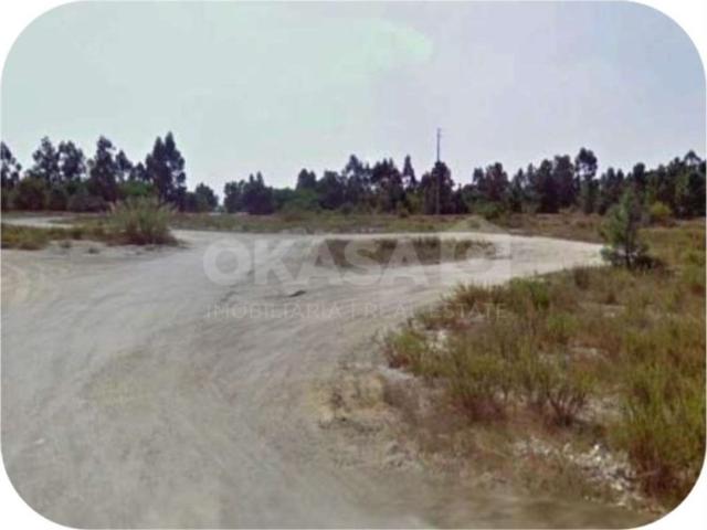 Terreno venda em Colonato de Santo Isidro de Pegões, Montijo