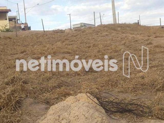 Terreno venda em Região Geográfica Imediata de Serra Talhada, Floresta