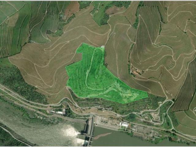 Terreno venda em Peso Da Régua, Vila Real