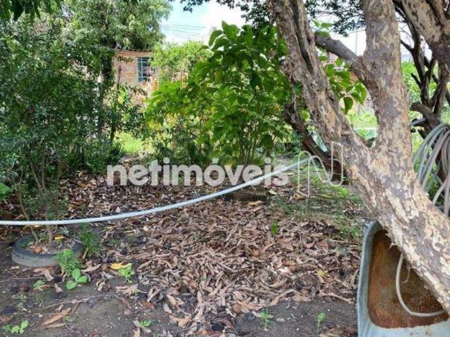 Terreno venda em Região Geográfica Imediata de Belo Horizonte, Região Metropolitana de Belo Horizonte