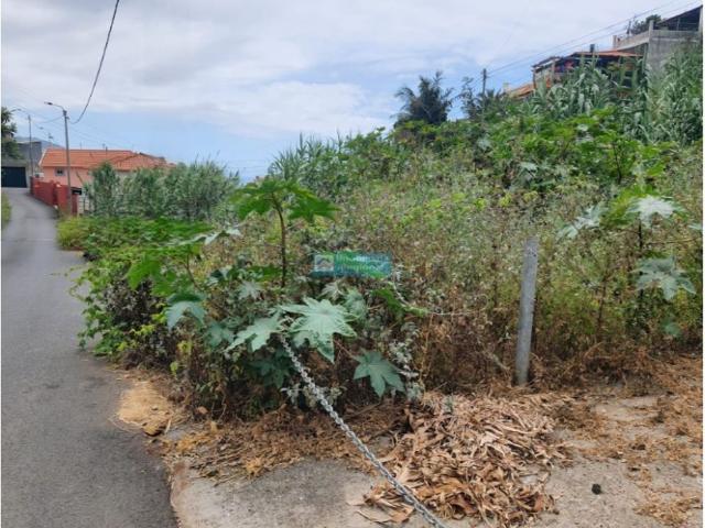 Terreno venda em Funchal, Ilha Da Madeira