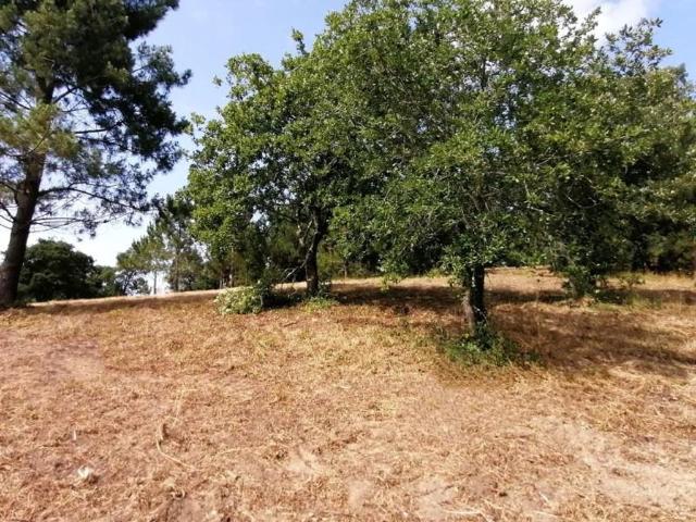 Terreno venda em A-da-Gorda, Óbidos
