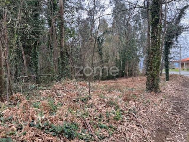 Terreno venda em Boalhosa, Viana Do Castelo