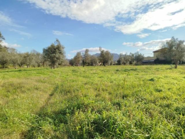 Terreno venda em Bertiandos, Ponte de Lima