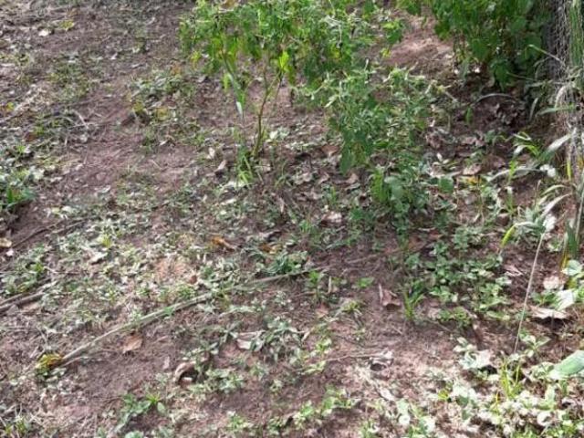 Terreno venda em Região Geográfica Imediata de Porto Alegre, Região Metropolitana de Porto Alegre