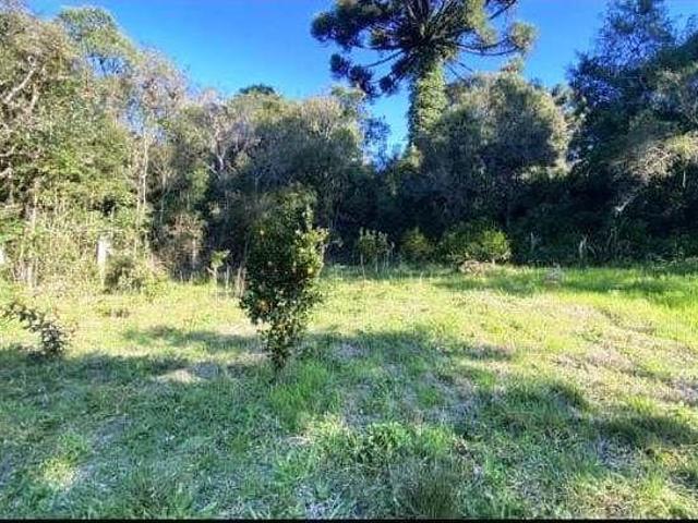Terreno venda em Gramado