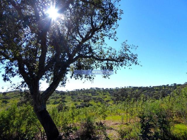Terreno venda em Portel, Évora