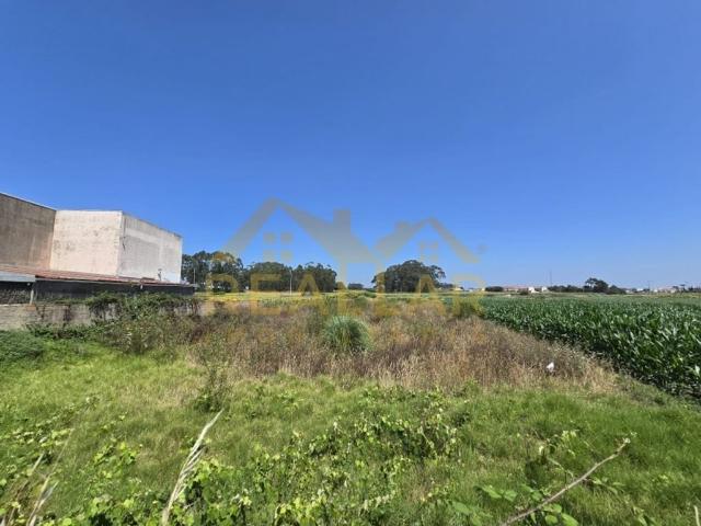 Terreno venda em Nova Sintra, A Ver-o-mar