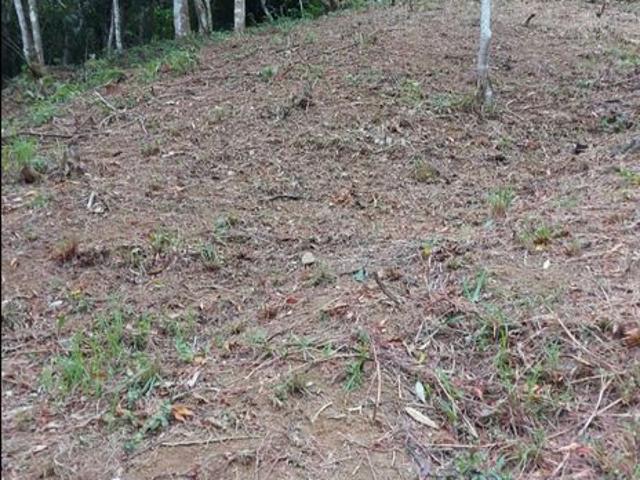Terreno venda em Região Imediata de Caraguatatuba-Ubatuba-São Sebastião, Região Metropolitana do Vale do Paraíba e Litoral Norte