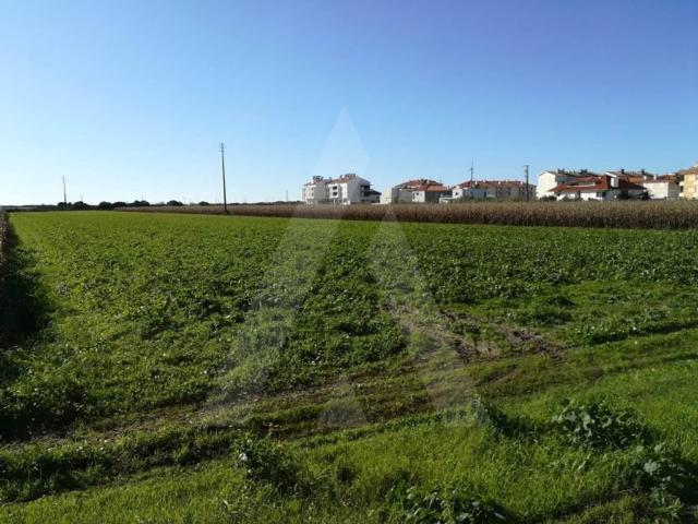 Terreno venda em Gafanha do Areão, Ponte De Vagos