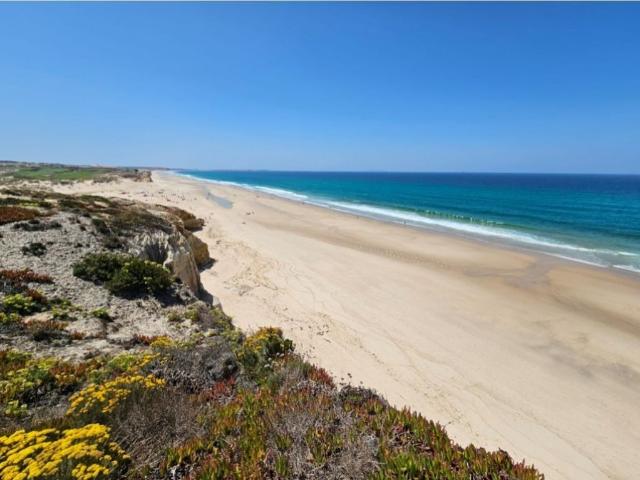 Terreno venda em Casais do Moinho da Praia, Óbidos