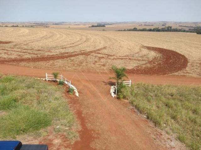 Terreno venda em Região Geográfica Imediata de Londrina, Londrina