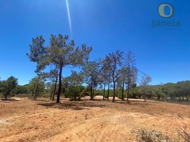 Terreno venda em Loulé, Faro