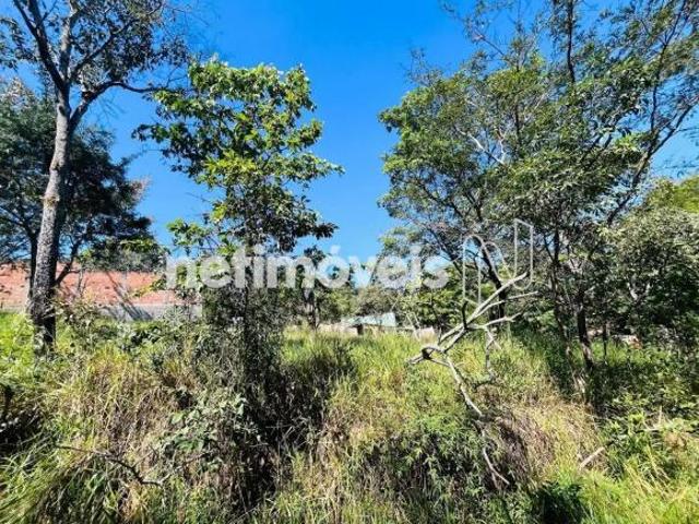 Terreno venda em Quinta das Esmeraldas, Esmeraldas
