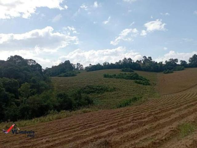 Terreno venda em Região Geográfica Imediata de Curitiba, Região Metropolitana de Curitiba