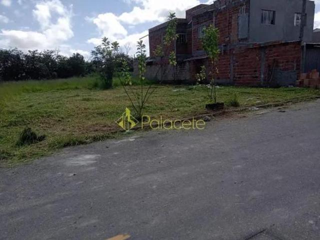 Terreno venda em Região Imediata de Taubaté-Pindamonhangaba, Região Metropolitana do Vale do Paraíba e Litoral Norte