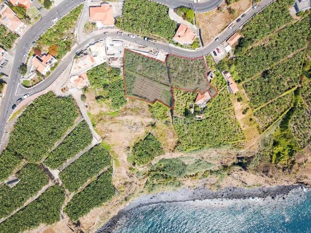 Terreno venda em Ribeira Brava, Ilha Da Madeira