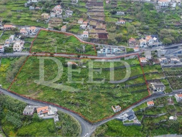 Terreno venda em Calhau da Lapa, Ribeira Brava