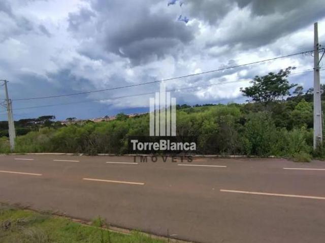 Terreno venda em Cará-Cará, Ponta Grossa