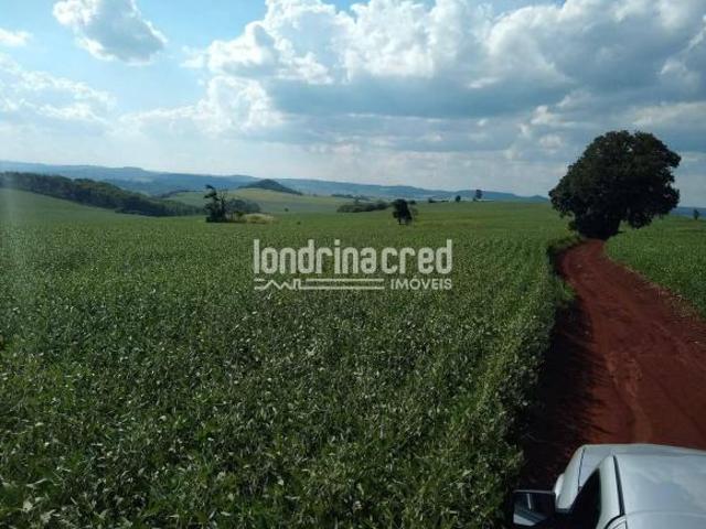 Terreno venda em Região Geográfica Imediata de Londrina, Assaí