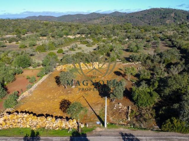 Terreno venda em São Brás De Alportel, Faro