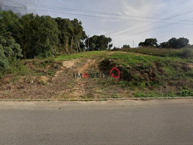 Terreno venda em Santarém
