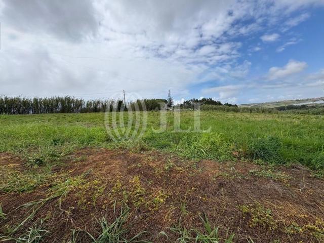 Terreno venda em Torres Vedras, Lisboa