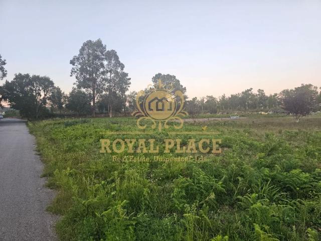 Terreno venda em Santa Maria Da Feira, Aveiro
