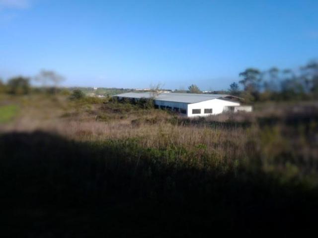 Terreno venda em Santarém