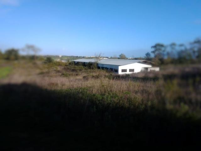 Terreno venda em Santarém