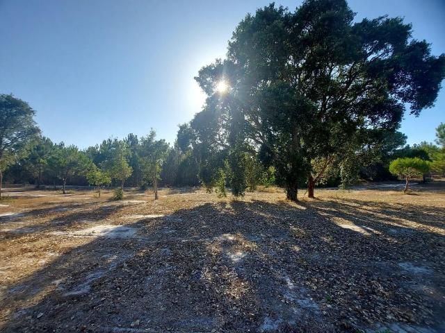 Terreno venda em Santiago Do Cacém, Setúbal