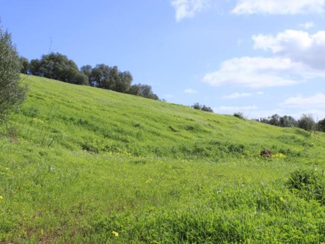 Terreno venda em Santiago Do Cacém, Setúbal